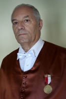 Excmo. Sr. D. Enrique Castillo Ron 