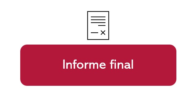 Informe final