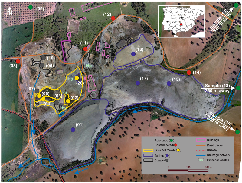 Evaluación de la diversidad y actividad microbiana en una mina de plomo de 100 años de antigüedad