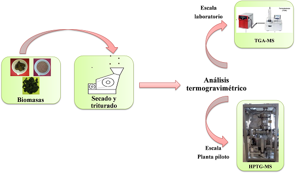 Esquema del proceso de valorización de biomasa.