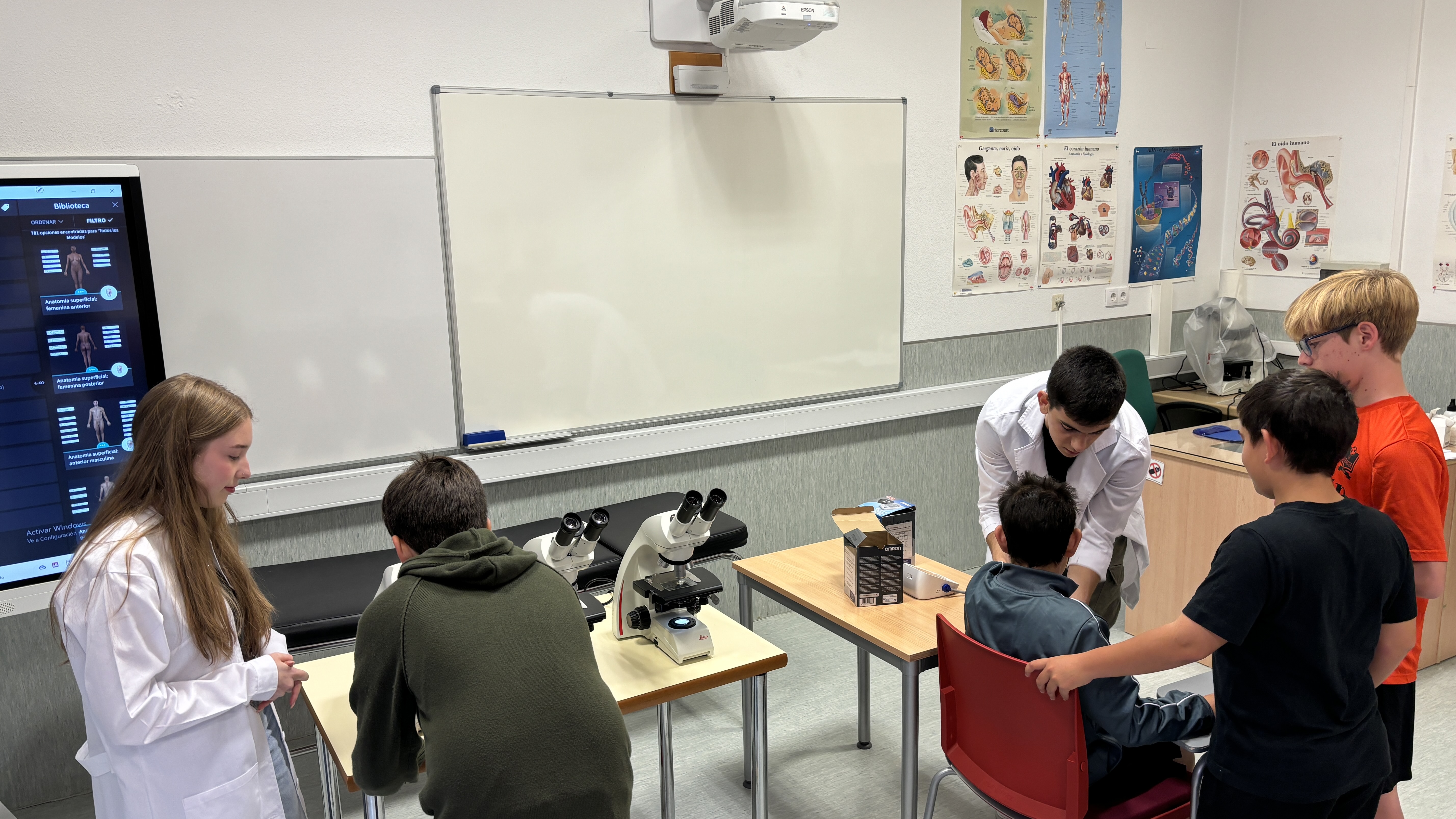 Estudiantes de la Facultad de Enfermería de Albacete y de 6º de Primaria del CEIP Príncipe Felipe en un proyecto Aprendizaje-Servicio. Anatomía y Fisiología Humana
