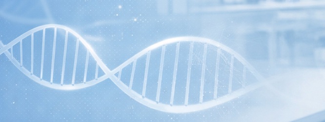 Programa completo XV Ciclo de Seminarios de Investigación 2026
