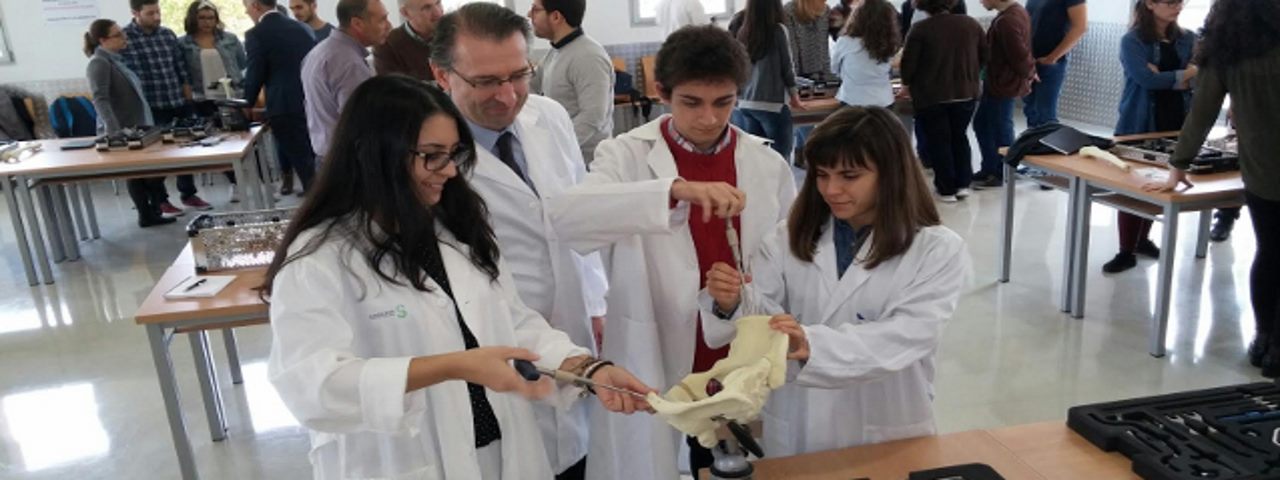 Research groups
