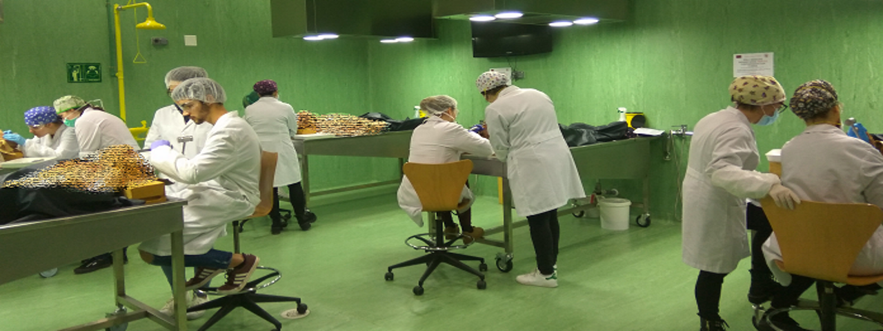 Dissecting room