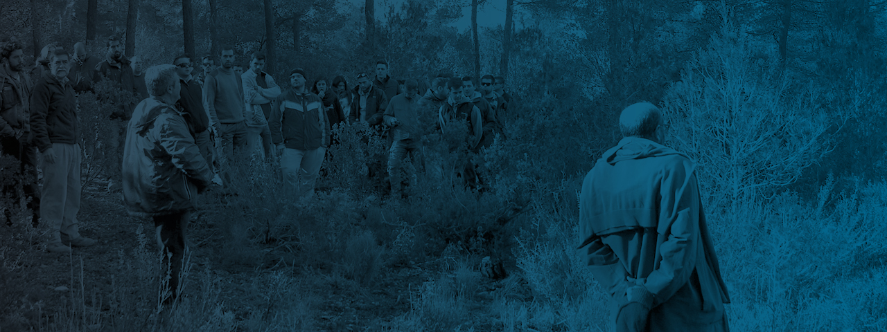 Ingeniería Forestal y del Medio Natural