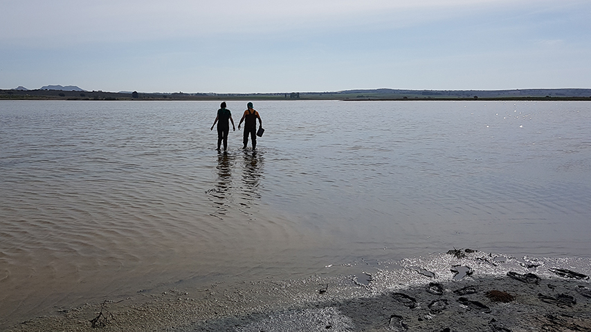 Premio tesis laguna de Pétrola