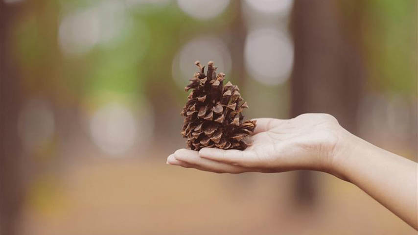 CoLab sobre servicios ecosistémicos en Cuenca.