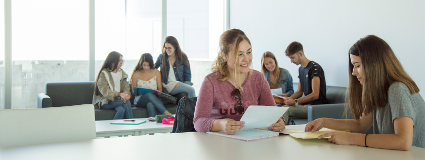 Estudiantes trabajando en grupo