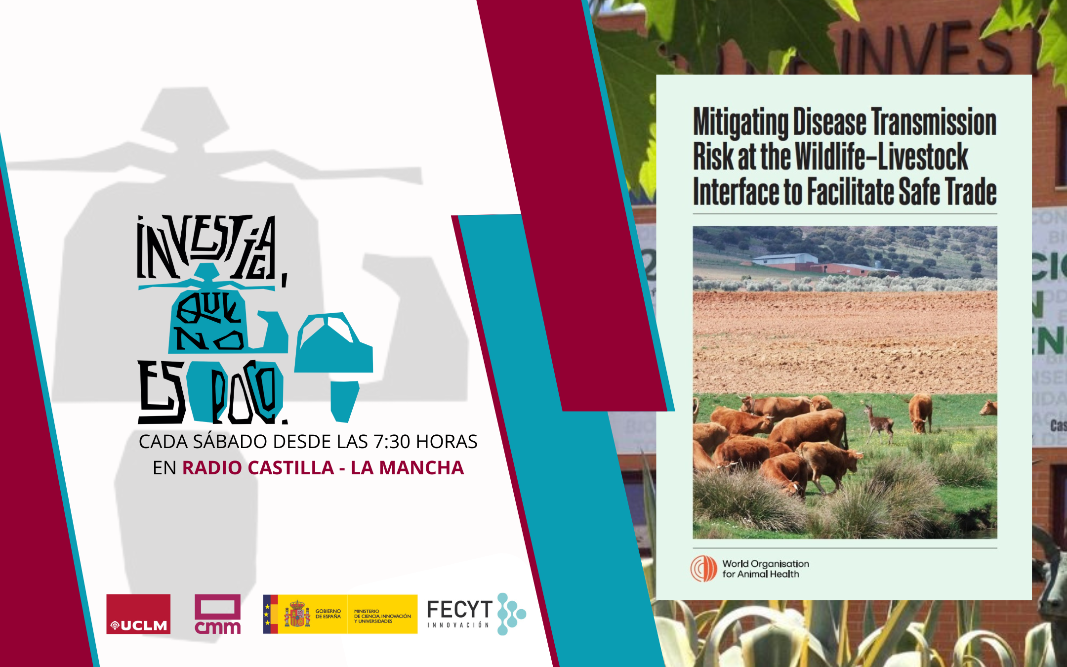 Guía para mitigar los riesgos de transmisiones de enfermedades de la fauna salvaje